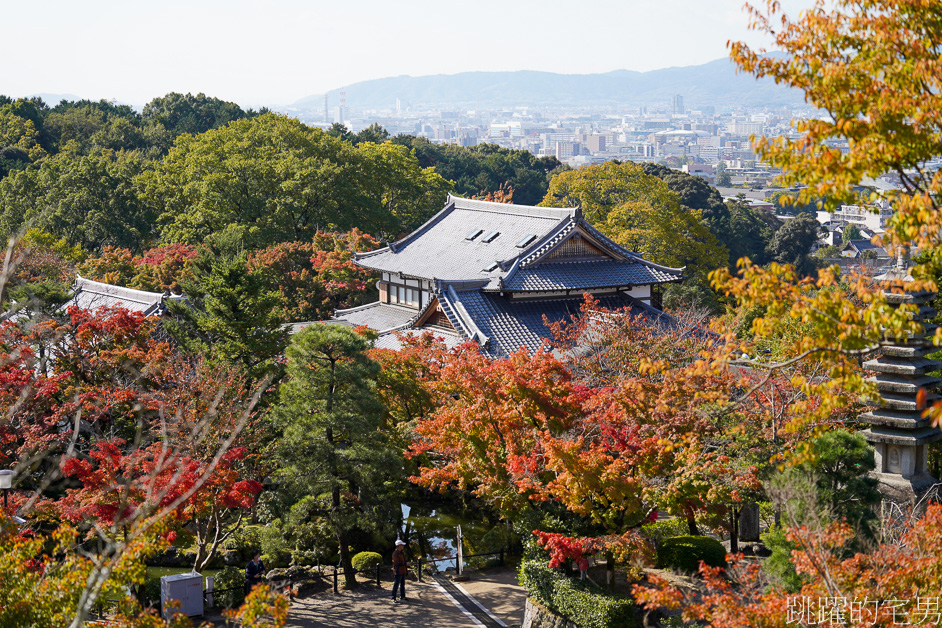 日本京都景點推薦「清水寺」去一次絕對不夠，穿和服感受四季不同風景，最新清水寺開放時間、門票