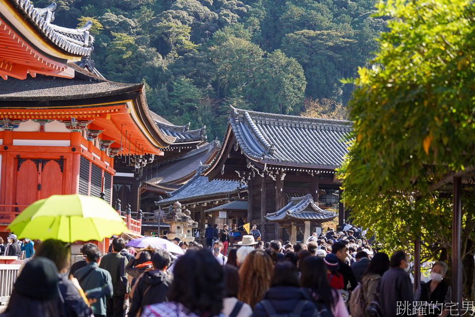 日本京都景點推薦「清水寺」去一次絕對不夠，穿和服感受四季不同風景，最新清水寺開放時間、門票