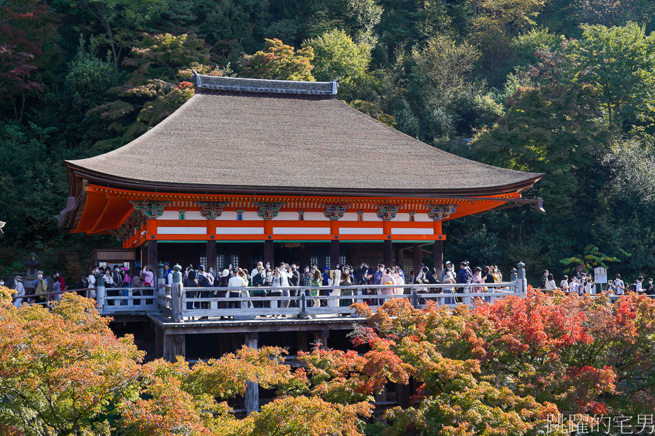 日本京都景點推薦「清水寺」去一次絕對不夠，穿和服感受四季不同風景，最新清水寺開放時間、門票