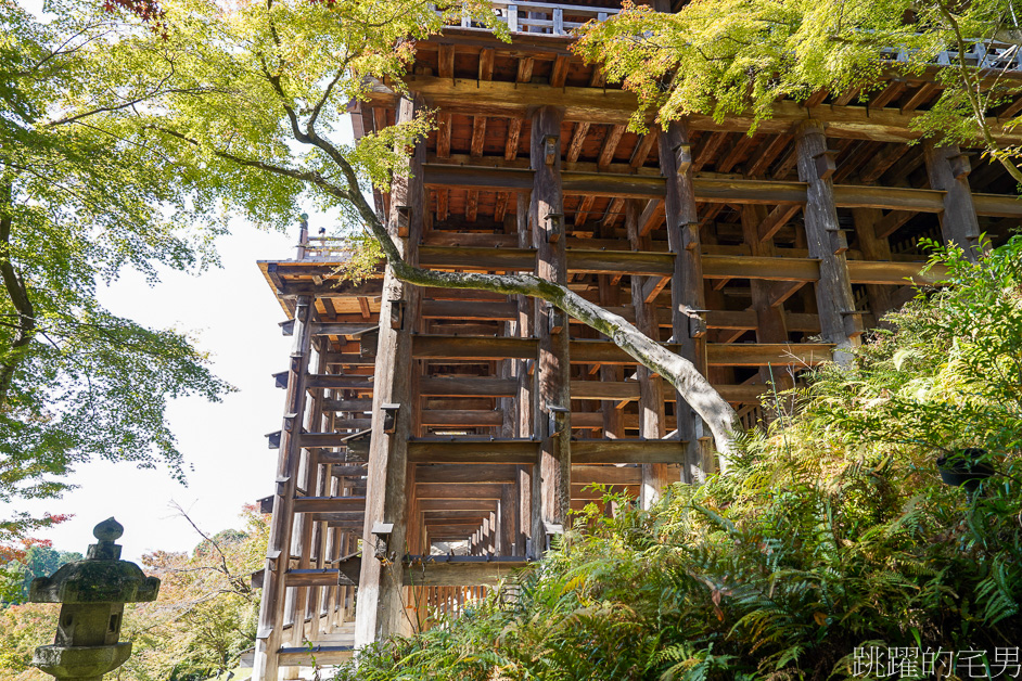 日本京都景點推薦「清水寺」去一次絕對不夠，穿和服感受四季不同風景，最新清水寺開放時間、門票