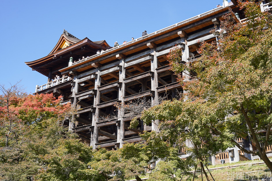 日本京都景點推薦「清水寺」去一次絕對不夠，穿和服感受四季不同風景，最新清水寺開放時間、門票