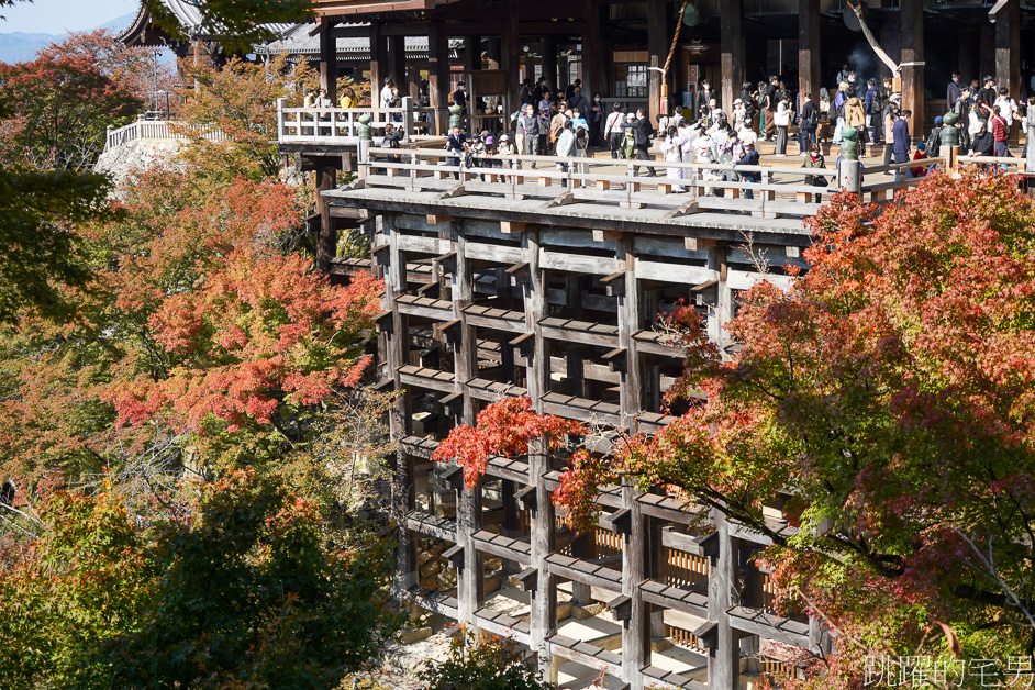 日本京都景點推薦「清水寺」去一次絕對不夠，穿和服感受四季不同風景，最新清水寺開放時間、門票