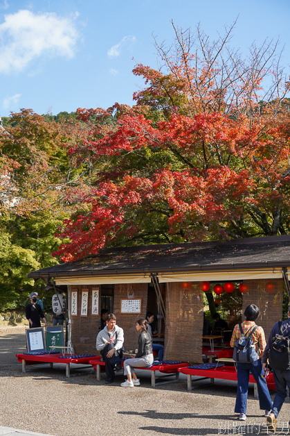 日本京都景點推薦「清水寺」去一次絕對不夠，穿和服感受四季不同風景，最新清水寺開放時間、門票