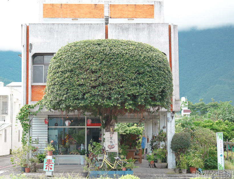 [台灣風景]行道樹也能很可愛「鳳林水母樹」綿延數百公尺簡直太療癒，而且數年如一日，花蓮景點，鳳林美食懶人包