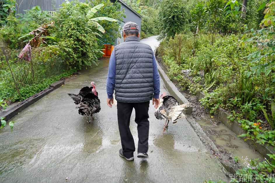 花蓮旅遊這樣玩「石光漫遊193」騎電輔車玩玉里，品嘗古早味農家飯、有機愛玉、烘咖啡豆DIY，再來個玉里臭豆腐簡直完美結尾