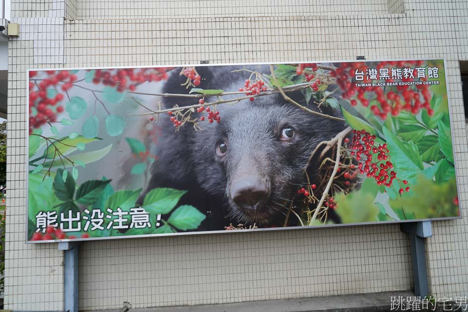 花蓮旅遊這樣玩「石光漫遊193」騎電輔車玩玉里，品嘗古早味農家飯、有機愛玉、烘咖啡豆DIY，再來個玉里臭豆腐簡直完美結尾