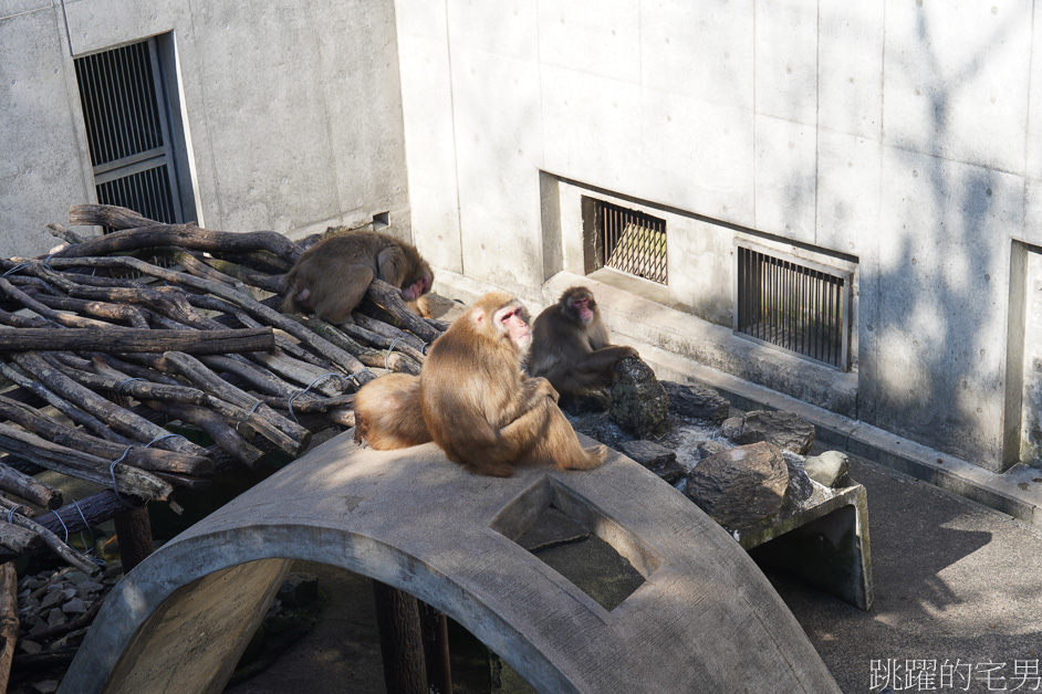 鳥取倉吉懶人包「倉吉白壁土藏群」品嘗倉吉美食「町屋清水庵」「レストラン三日月」 「赤瓦五号館久楽」倉吉景點 「円形劇場」「大蓮寺」「倉吉神社」「豐田家住宅」「妙寂寺銀杏」「打吹公園 」「出雲大社-倉吉分院 」