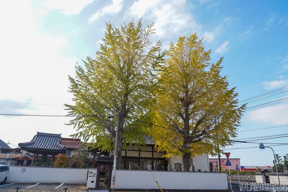 鳥取倉吉懶人包「倉吉白壁土藏群」品嘗倉吉美食「町屋清水庵」「レストラン三日月」 「赤瓦五号館久楽」倉吉景點 「円形劇場」「大蓮寺」「倉吉神社」「豐田家住宅」「妙寂寺銀杏」「打吹公園 」「出雲大社-倉吉分院 」