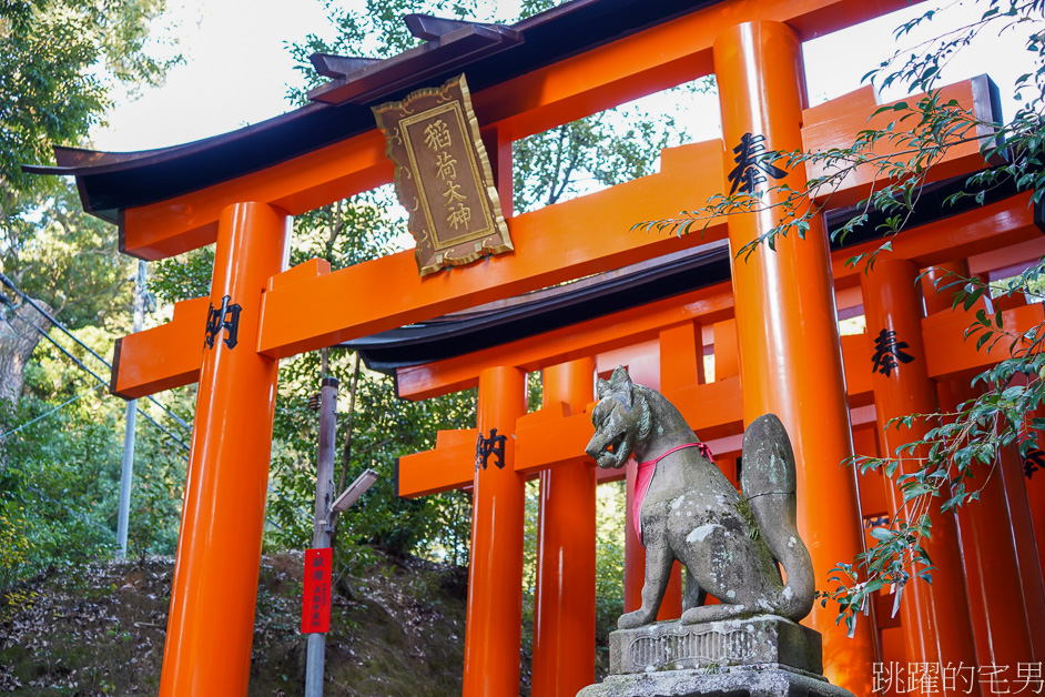 京都景點「伏見稻荷大社」山中萬座「千本鳥居」空無一人充滿神秘感