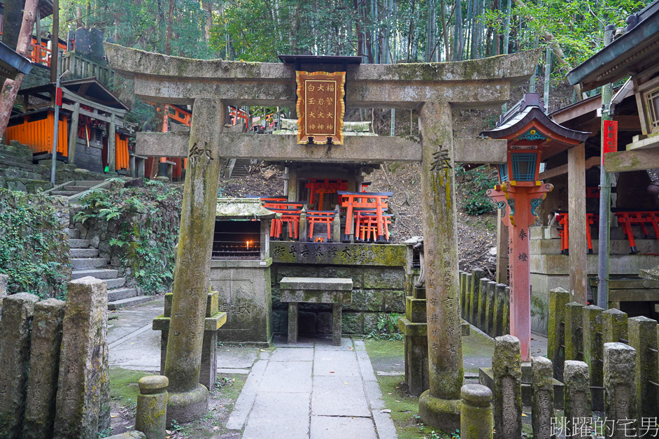 京都景點「伏見稻荷大社」山中萬座「千本鳥居」空無一人充滿神秘感