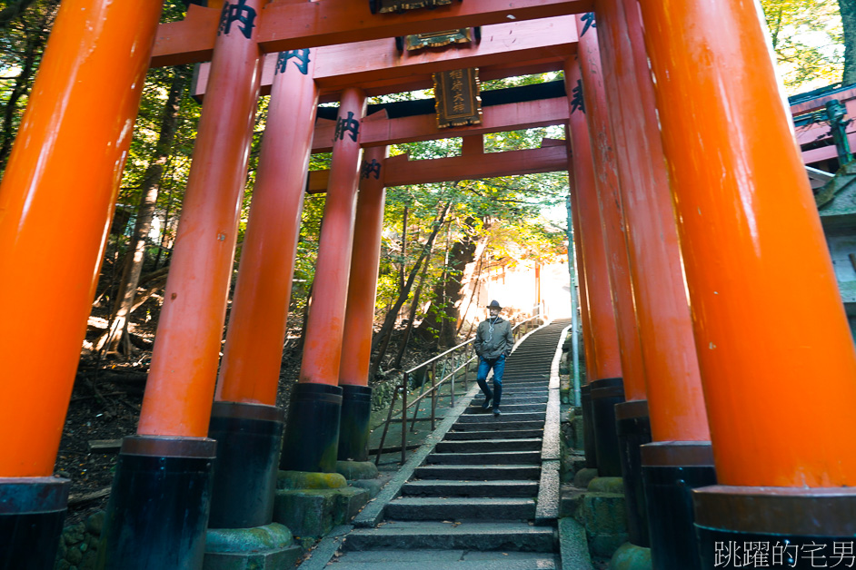 京都景點「伏見稻荷大社」山中萬座「千本鳥居」空無一人充滿神秘感