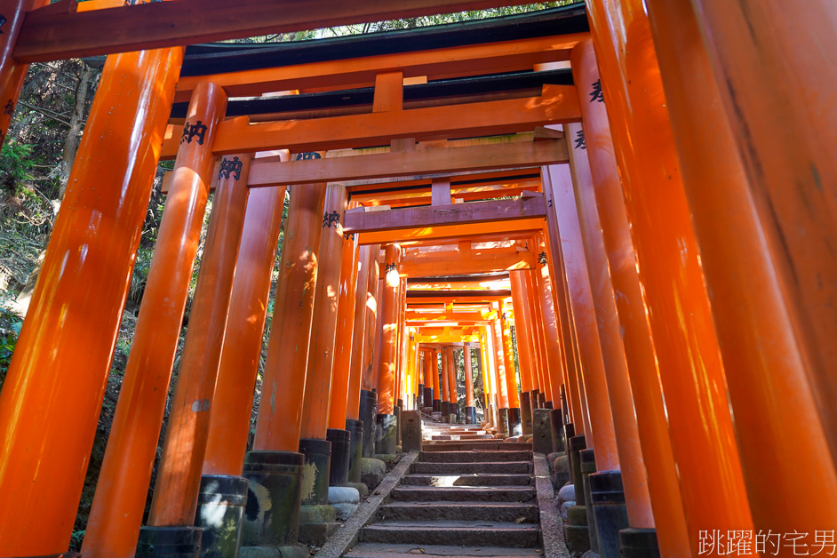 京都景點「伏見稻荷大社」山中萬座「千本鳥居」空無一人充滿神秘感