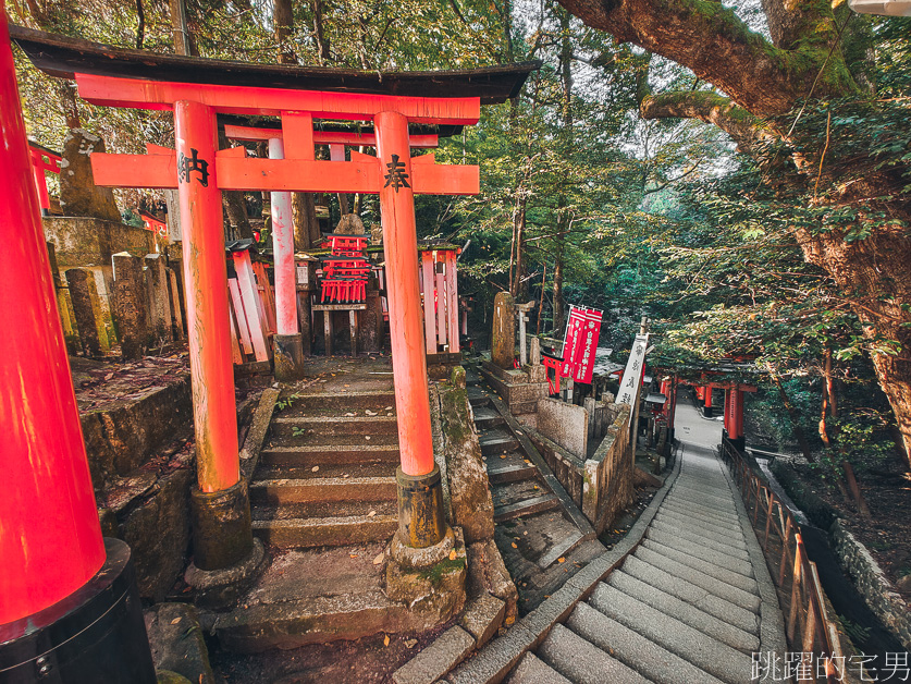 京都景點「伏見稻荷大社」山中萬座「千本鳥居」空無一人充滿神秘感