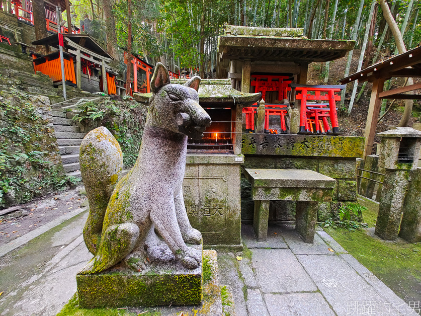 京都景點「伏見稻荷大社」山中萬座「千本鳥居」空無一人充滿神秘感