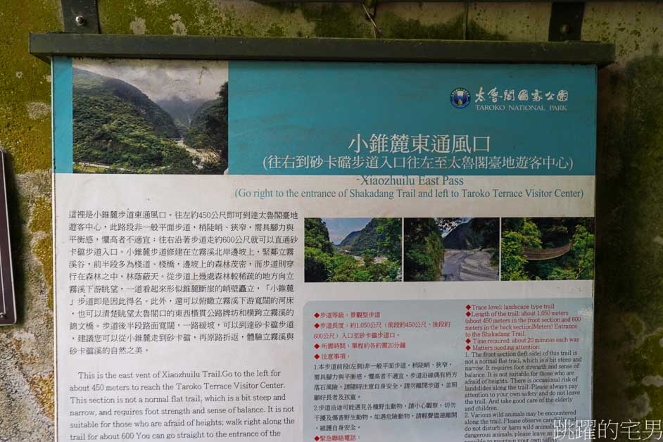 花蓮景點「小錐麓步道」 太魯閣遊客中心旁停車方便，太魯閣步道難易度低，40分鐘就可以走完