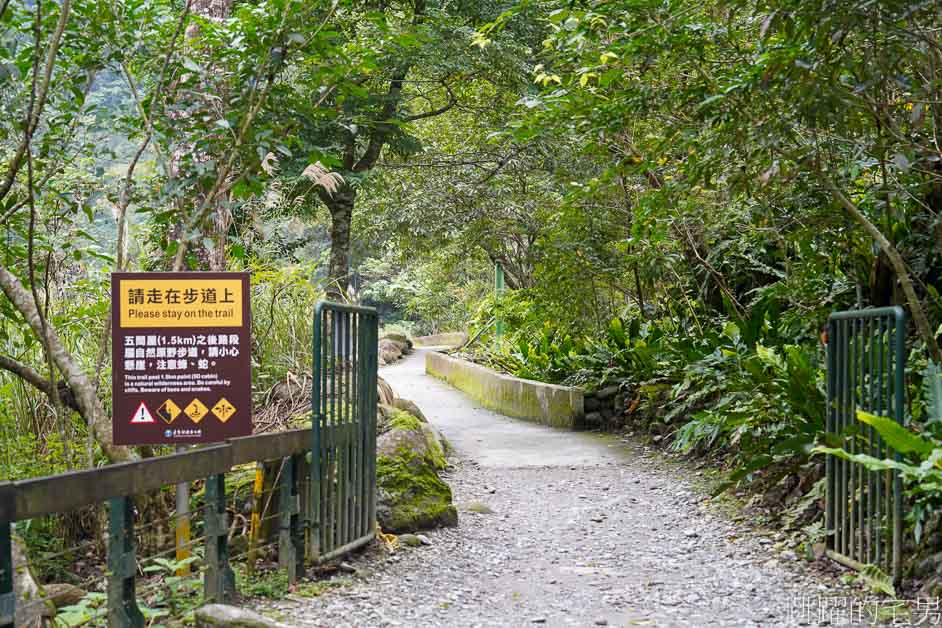 太魯閣景點「砂卡噹步道」沁藍溪水靜謐而神祕，步道平緩景色優美，太魯閣親子步道，太魯閣必走步道，太魯閣步道推薦