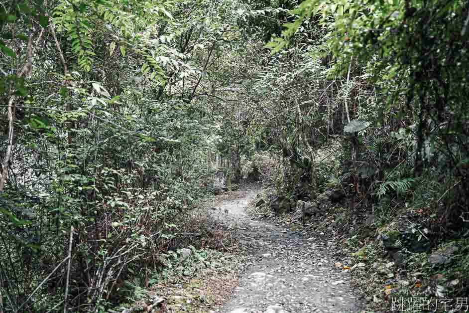 太魯閣景點「砂卡噹步道」沁藍溪水靜謐而神祕，步道平緩景色優美，太魯閣親子步道，太魯閣必走步道，太魯閣步道推薦