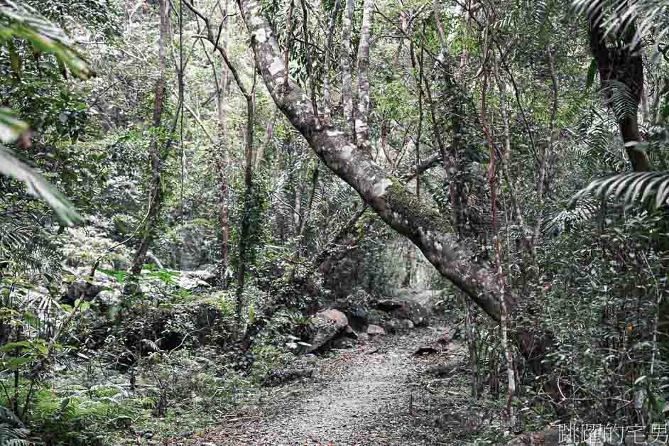 太魯閣景點「砂卡噹步道」沁藍溪水靜謐而神祕，步道平緩景色優美，太魯閣親子步道，太魯閣必走步道，太魯閣步道推薦