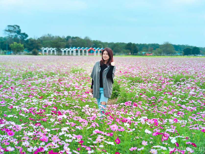 花蓮花海