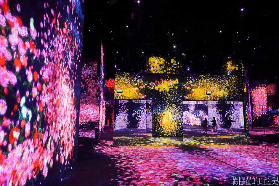 澳門旅遊「teamLab」世界必看展覽! 超過1500坪超自然光影夢幻空間，身體沉浸式藝術，超過10種以上主題展覽! 絕對值回票價!  澳門長期展覽