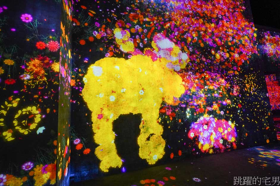 澳門旅遊「teamLab」世界必看展覽! 超過1500坪超自然光影夢幻空間，身體沉浸式藝術，超過10種以上主題展覽! 絕對值回票價!  澳門長期展覽