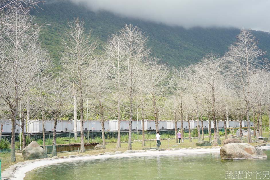 [花蓮景點]洄瀾灣景觀餐廳-花蓮水豚君出沒!  還有狐獴、浣熊、超萌草泥馬、 笑笑羊、可愛小鹿，花蓮親子景點、秀林景點、花蓮落羽松