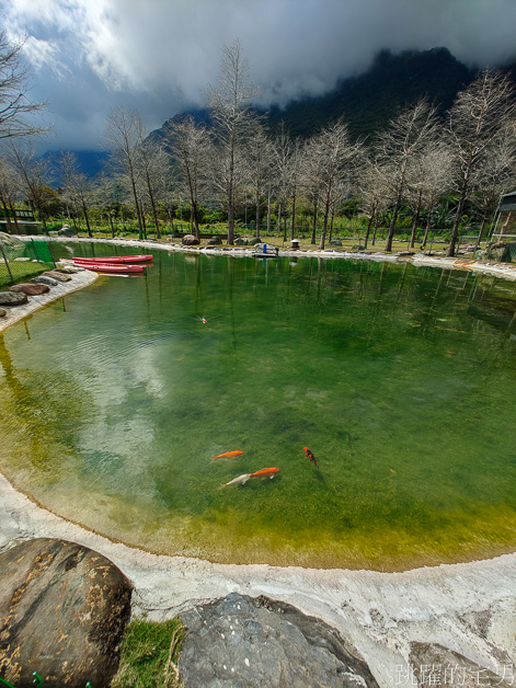 [花蓮景點]洄瀾灣景觀餐廳-花蓮水豚君出沒!  還有狐獴、浣熊、超萌草泥馬、 笑笑羊、可愛小鹿，花蓮親子景點、秀林景點、花蓮落羽松