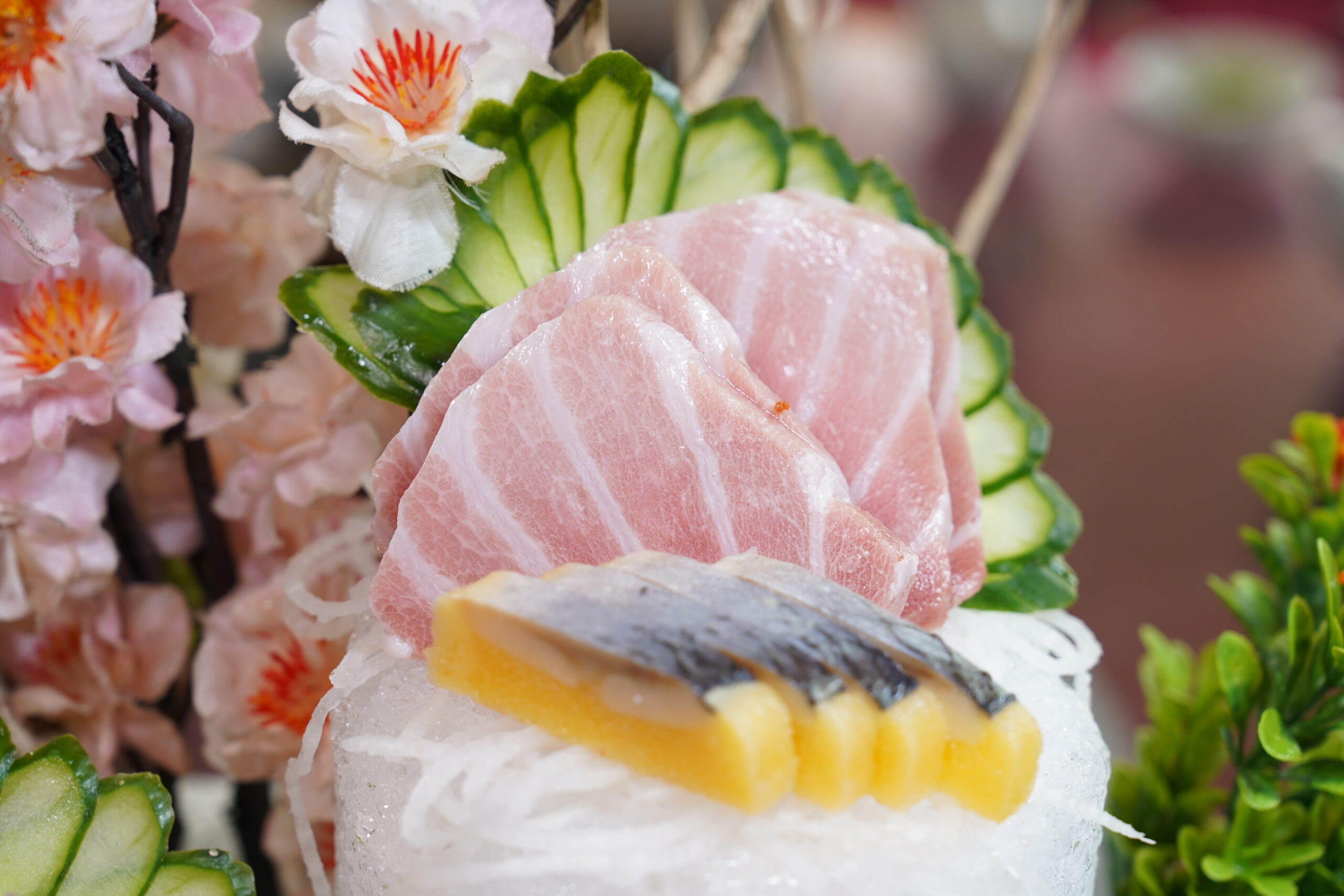 [花蓮景點]洄瀾灣景觀餐廳-花蓮水豚君出沒!  還有狐獴、浣熊、超萌草泥馬、 笑笑羊、可愛小鹿，花蓮親子景點、秀林景點、花蓮落羽松