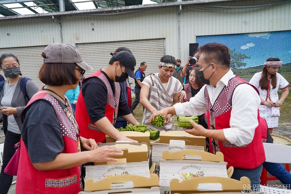 花蓮山蘇宅配全年提供「萬榮山蘇」批發、大量提供，創意山蘇料理