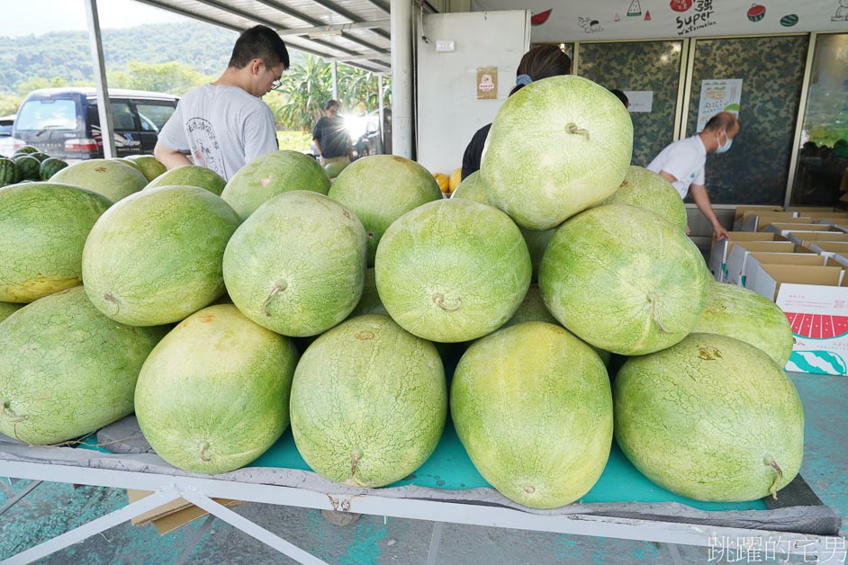 [花蓮西瓜]南花風土餐桌「花蓮玉里阿強西瓜」走進一望無際西瓜田，從產地到餐桌，導覽品嘗西瓜私廚美味