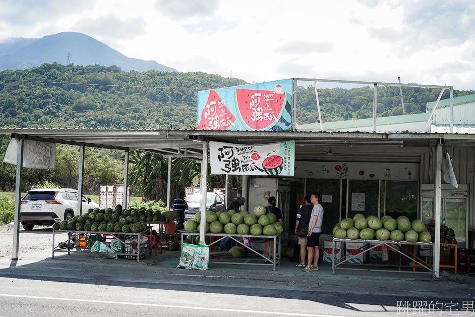 [花蓮西瓜]南花風土餐桌「花蓮玉里阿強西瓜」走進一望無際西瓜田，從產地到餐桌，導覽品嘗西瓜私廚美味