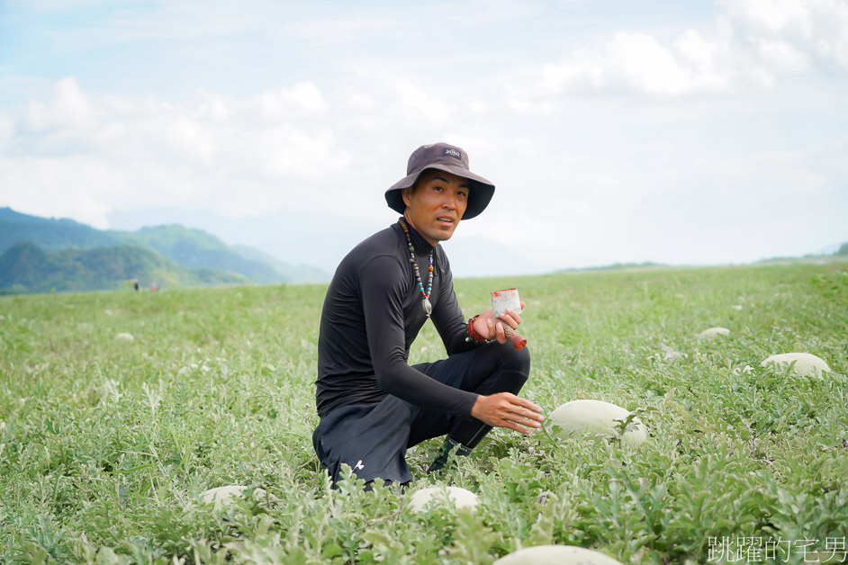 [花蓮西瓜]南花風土餐桌「花蓮玉里阿強西瓜」走進一望無際西瓜田，從產地到餐桌，導覽品嘗西瓜私廚美味