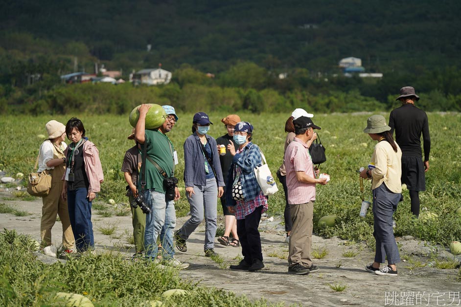 [花蓮西瓜]南花風土餐桌「花蓮玉里阿強西瓜」走進一望無際西瓜田，從產地到餐桌，導覽品嘗西瓜私廚美味