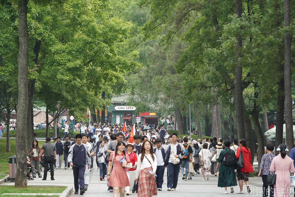 [江蘇南京景點]中山陵-國父孫中山陵寢，緬懷先賢，前人種樹，後人乘涼