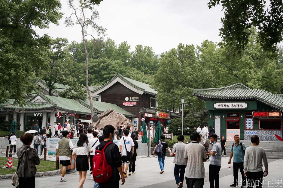 [江蘇南京景點]中山陵-國父孫中山陵寢，緬懷先賢，前人種樹，後人乘涼