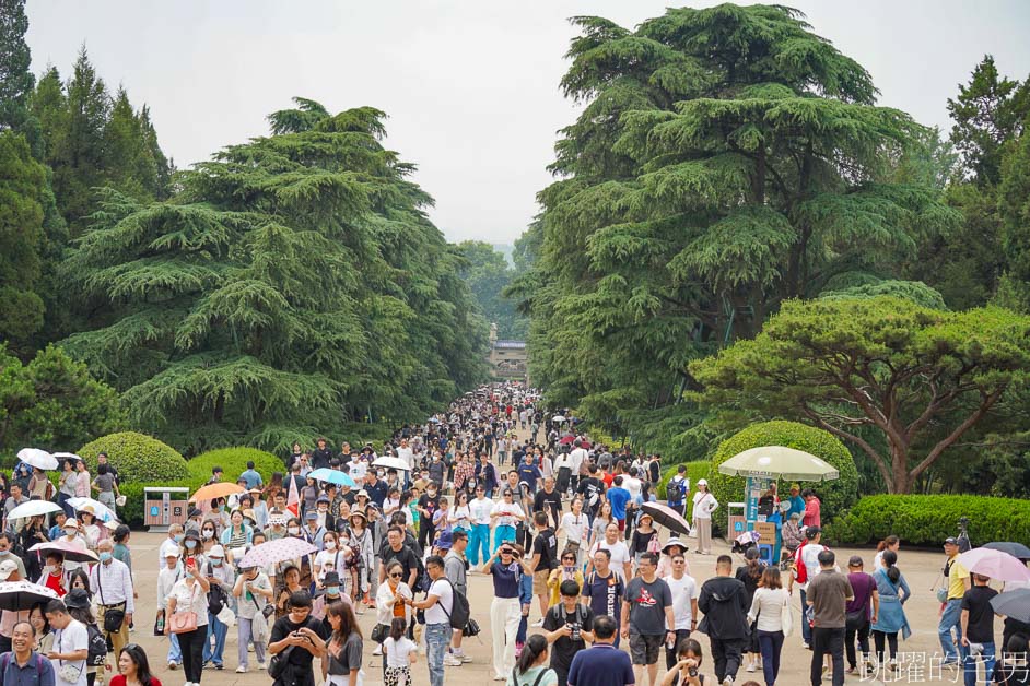 [江蘇南京景點]中山陵-國父孫中山陵寢，緬懷先賢，前人種樹，後人乘涼