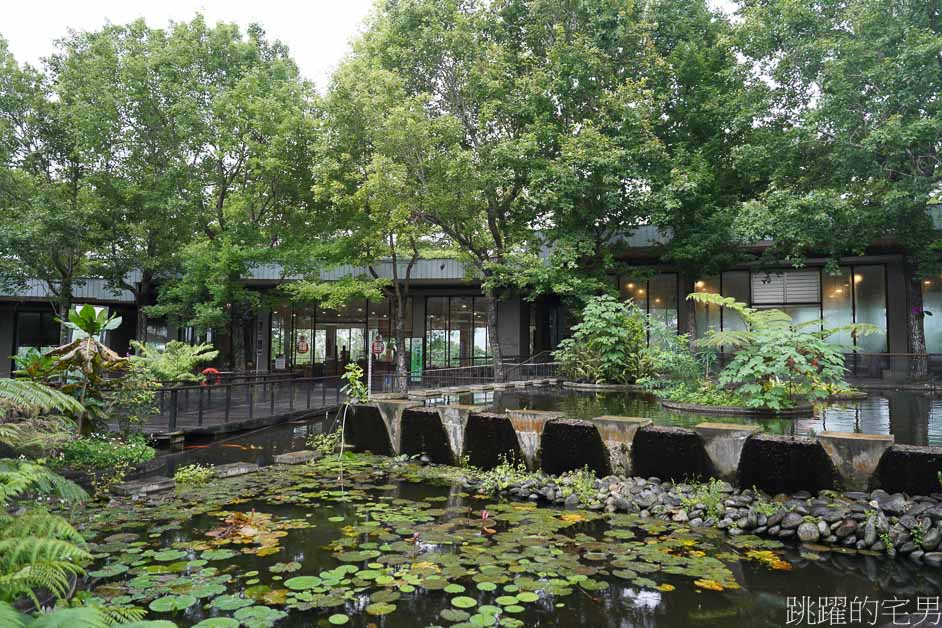 [台東親子景點]台東原生應用植物園「火鍋吃到飽」多種野菜，大推藥草戰鬥雞，還能牧場餵羊、鴕鳥，卑南景點