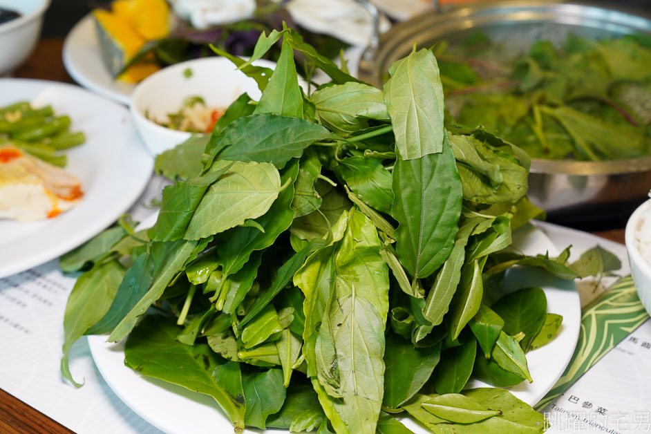 [台東親子景點]台東原生應用植物園「火鍋吃到飽」多種野菜，大推藥草戰鬥雞，還能牧場餵羊、鴕鳥，卑南景點