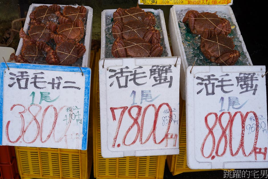 北海道旅遊「函館一日遊」就是要吃活海鮮! 函館朝市、函館百萬夜景、五稜郭公園、金森紅磚倉庫、函館景點、函館起司蛋糕