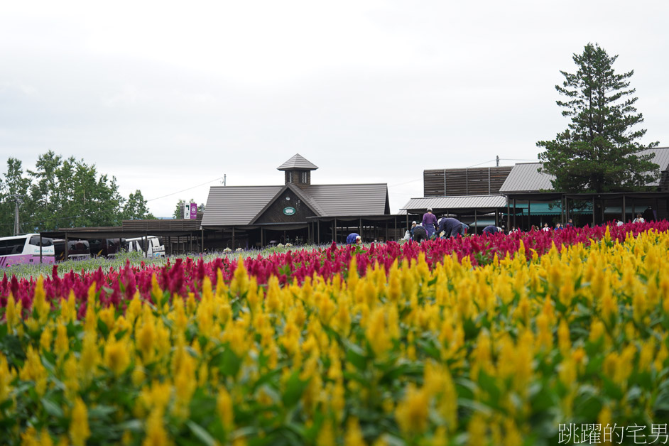 [富良野景點]北海道看花富田農場免費進場，Tomita Melon House還能吃好吃哈密瓜甜點，富田哈密瓜工房