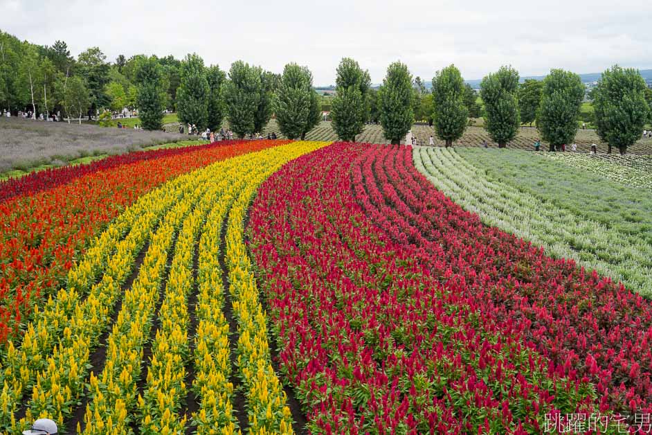 [富良野景點]北海道看花富田農場免費進場，Tomita Melon House還能吃好吃哈密瓜甜點，富田哈密瓜工房