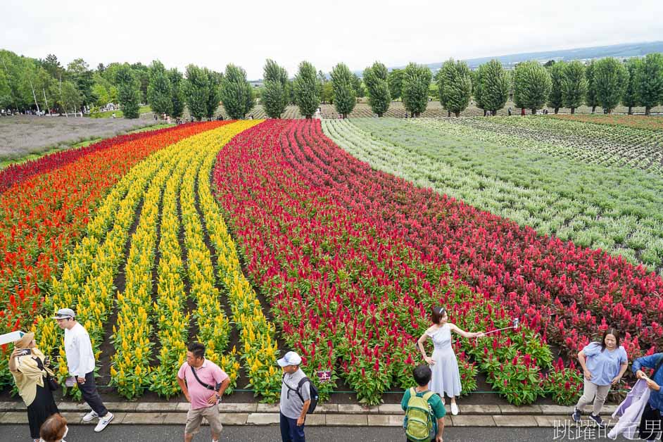 [富良野景點]北海道看花富田農場免費進場，Tomita Melon House還能吃好吃哈密瓜甜點，富田哈密瓜工房