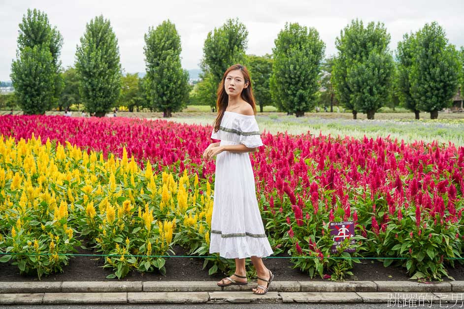 [富良野景點]北海道看花富田農場免費進場，Tomita Melon House還能吃好吃哈密瓜甜點，富田哈密瓜工房