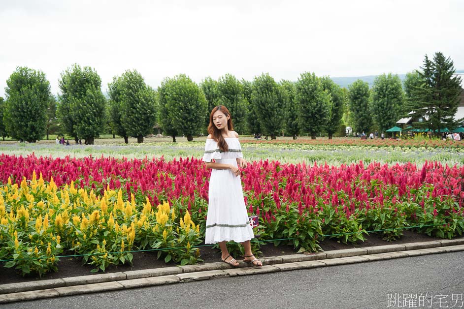 [富良野景點]北海道看花富田農場免費進場，Tomita Melon House還能吃好吃哈密瓜甜點，富田哈密瓜工房