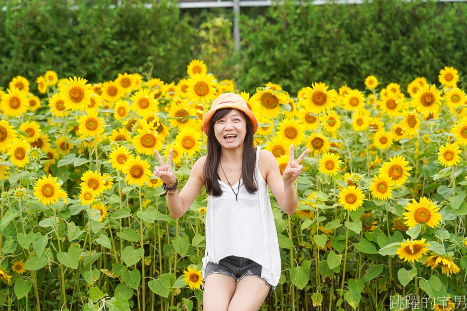 [富良野景點]北海道看花富田農場免費進場，Tomita Melon House還能吃好吃哈密瓜甜點，富田哈密瓜工房