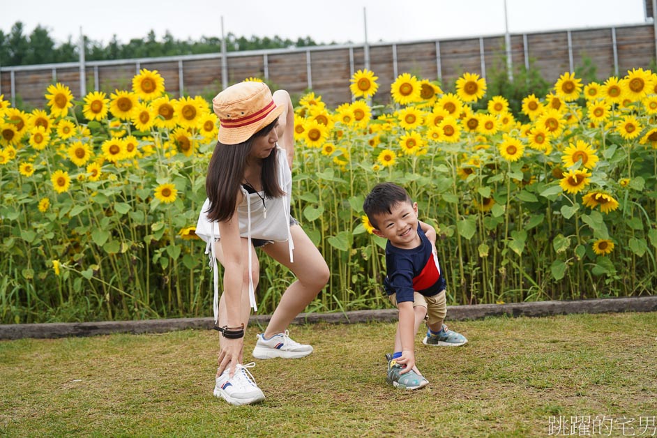 [富良野景點]北海道看花富田農場免費進場，Tomita Melon House還能吃好吃哈密瓜甜點，富田哈密瓜工房