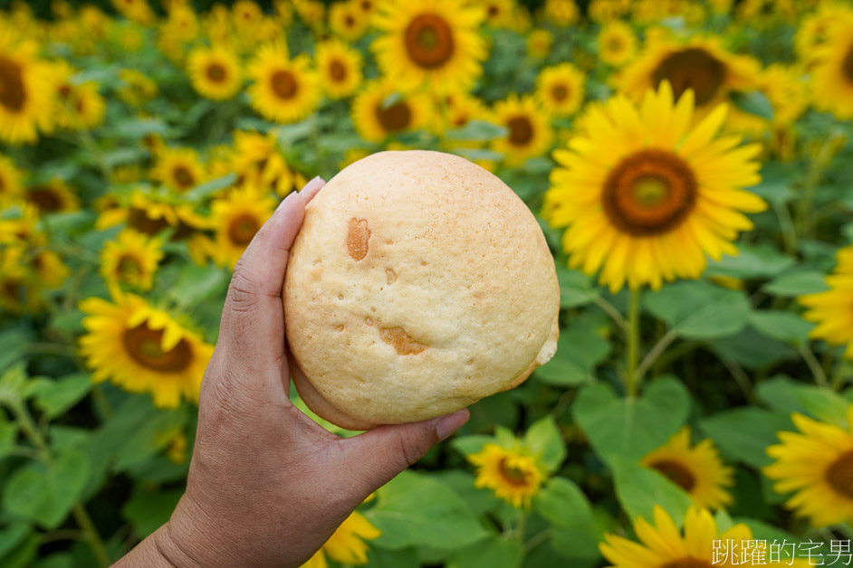 [富良野景點]北海道看花富田農場免費進場，Tomita Melon House還能吃好吃哈密瓜甜點，富田哈密瓜工房