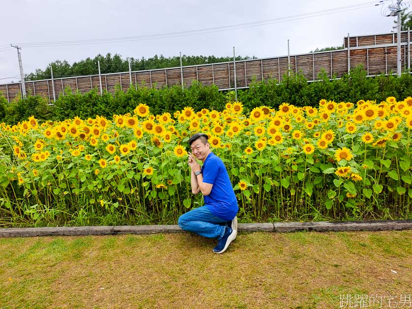 [富良野景點]北海道看花富田農場免費進場，Tomita Melon House還能吃好吃哈密瓜甜點，富田哈密瓜工房