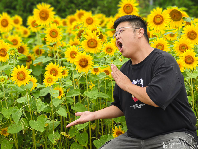 [富良野景點]北海道看花富田農場免費進場，Tomita Melon House還能吃好吃哈密瓜甜點，富田哈密瓜工房