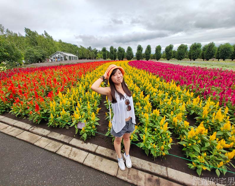 [富良野景點]北海道看花富田農場免費進場，Tomita Melon House還能吃好吃哈密瓜甜點，富田哈密瓜工房